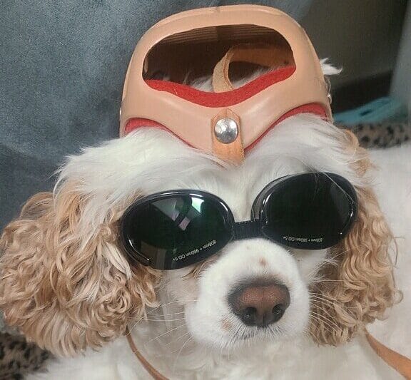 Laser Therapy in Laguna Niguel, CA